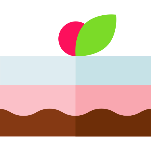 Cake icon