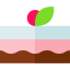 Cake icon 64x64