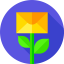 Growth ícono 64x64