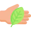 Herbal ícono 64x64