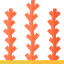 Seaweed icon 64x64