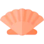 Морская ракушка иконка 64x64