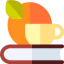 Orange icon 64x64