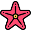 Starfish icon 64x64