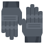 Gloves icon 64x64