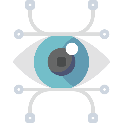 Vision icon