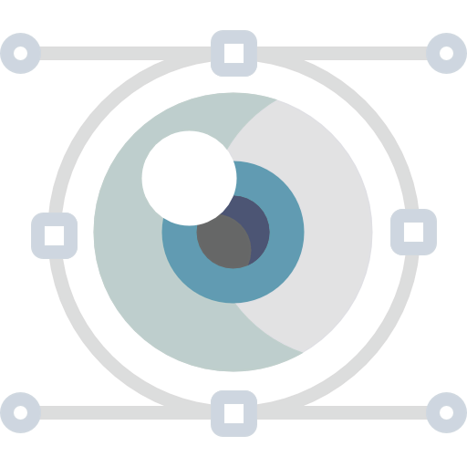 Vision icon
