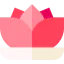 Lotus icon 64x64