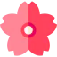 Sakura icon 64x64