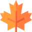 Maple leaf 图标 64x64