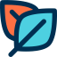 Leaf icon 64x64