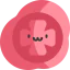 Seal icône 64x64