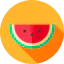 Watermelon icon 64x64