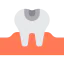 Caries icon 64x64