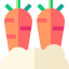 Carrots icon 64x64
