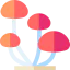 Mushrooms icon 64x64