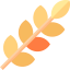 Wheat icon 64x64