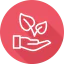 Sprout icon 64x64