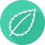 Leaf アイコン 64x64
