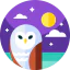 Owl icon 64x64