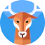 Deer icône 64x64