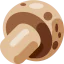 Mushroom icon 64x64