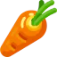 Carrot icon 64x64