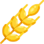 Wheat icon 64x64