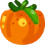 Tomato icon 64x64