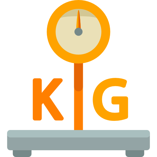 Scale icon