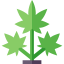 Cannabis icon 64x64