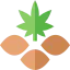Cannabis icon 64x64