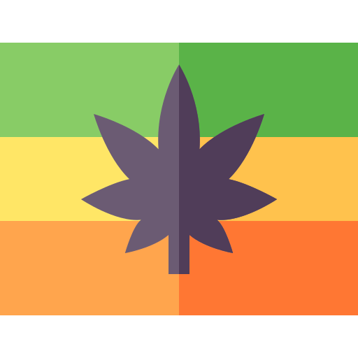 Flag icon
