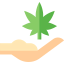 Cannabis icon 64x64