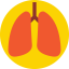 Lungs ícono 64x64