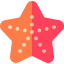 Starfish icon 64x64