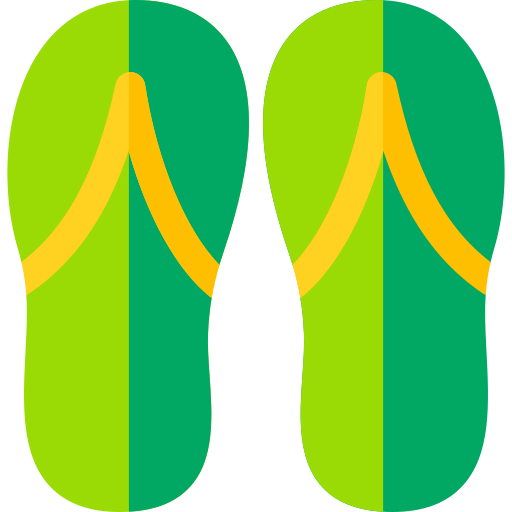 Flip flops icon