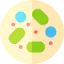 Petri dish icon 64x64