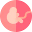Fetus icon 64x64