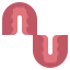 Denture icon 64x64