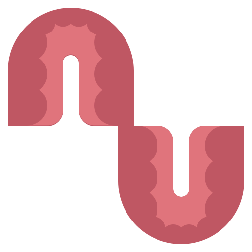Denture icon