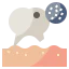 Cavity Ikona 64x64