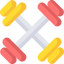 Dumbbells icon 64x64
