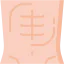 Abs icon 64x64