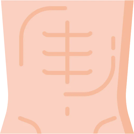 Abs icon