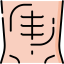Abs icon 64x64