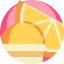 Citrus icon 64x64