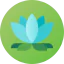 Lotus flower icon 64x64