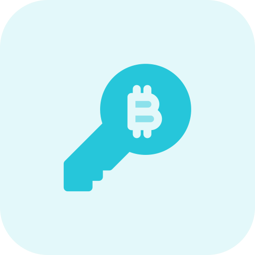 Key icon