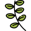 Basil アイコン 64x64